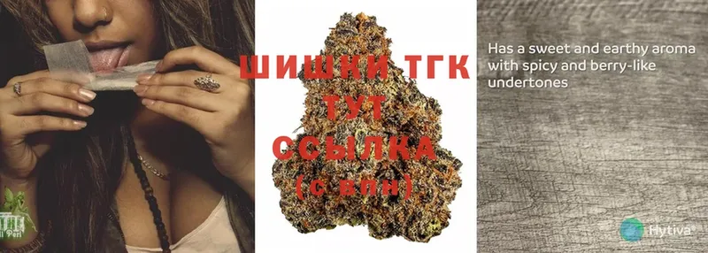 Конопля SATIVA & INDICA  закладка  Куса 